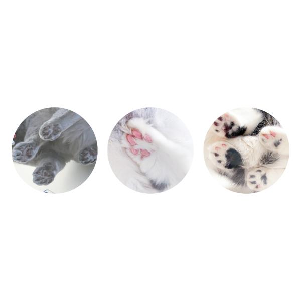 キャットステップ 3枚セット Cat Steps 壁 ワイドステップ 透明 クリア キャットウォーク （ キャットタワー ネコ ステップ ねこ 猫 ）_15