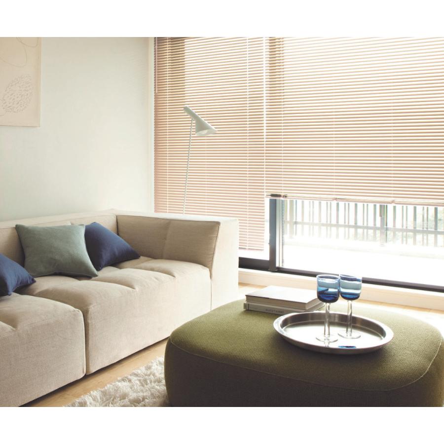 TOSO（トーソー） ブラインド アルミブラインド 遮熱コーティング 164