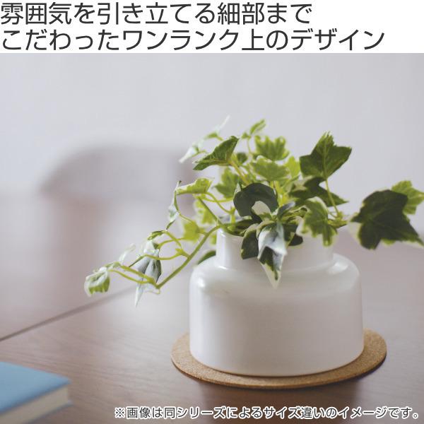 フェイクグリーン アイビー S 人工観葉植物 エクリア （ ミニ 観葉植物 造花 CT触媒 ）｜colorfulbox｜02