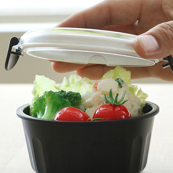 お弁当箱 デザートケース 1段 300ml Potter リアルプラネット （ 弁当