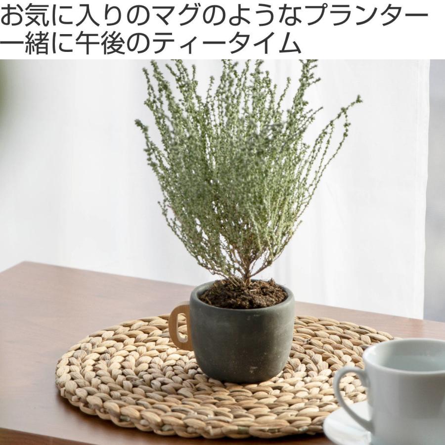 プランター ポアニェ マグポット （ 植木鉢 プラントポット