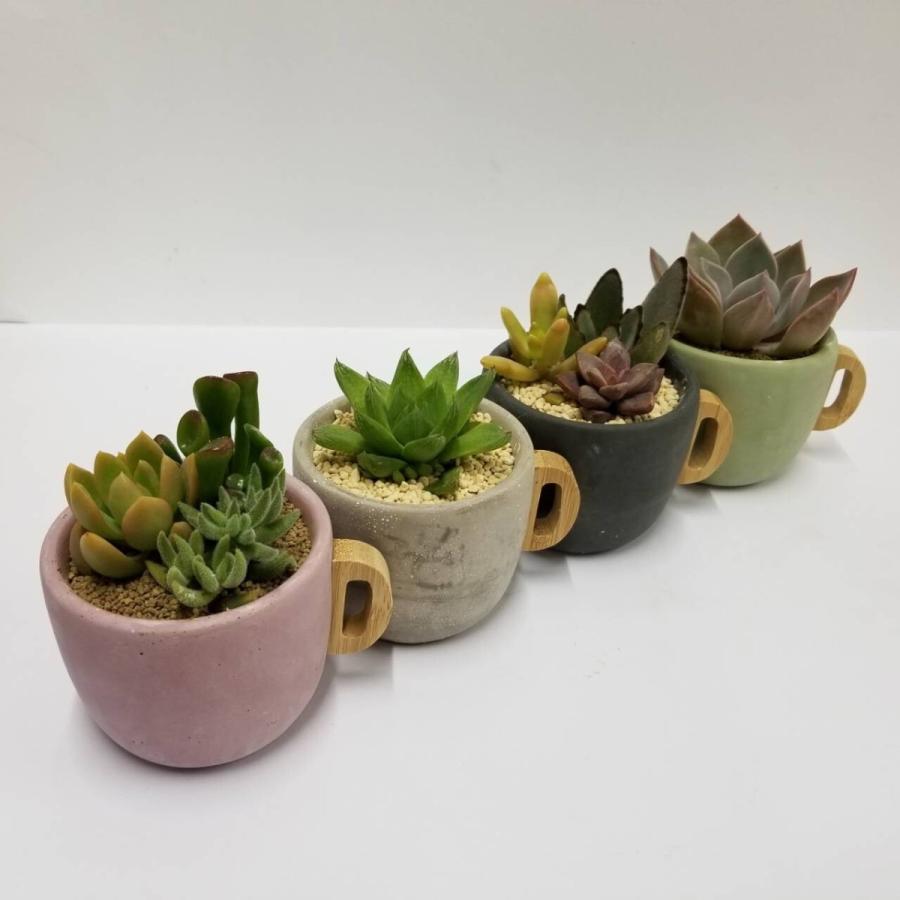 プランター ポアニェ マグポット （ 植木鉢 プラントポット 鉢植え 鉢