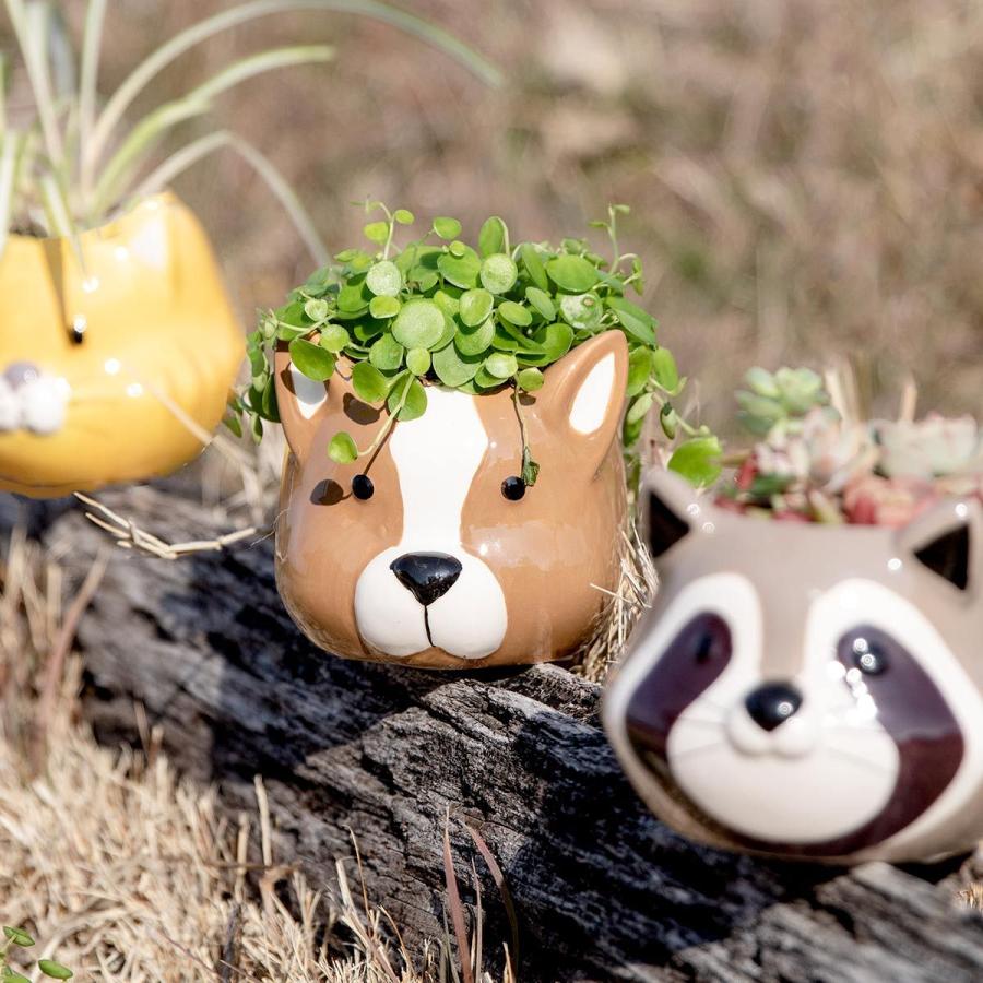 プランター アニマル ポット （ 植木鉢 プラントポット 陶器 鉢植え 鉢 寄せ植え 動物 顔 ）｜colorfulbox｜26