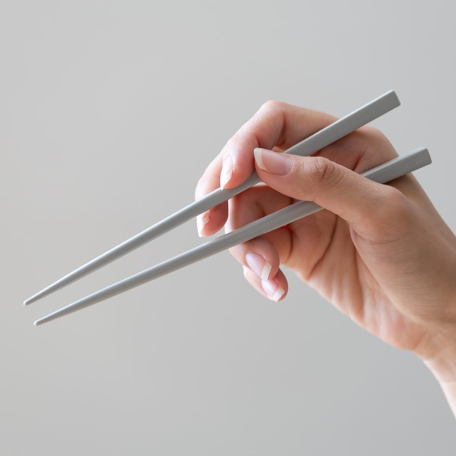 OSK（オーエスケー） 箸箱セット スリム 箸 18cm 抗菌 STOCK&LUNCH