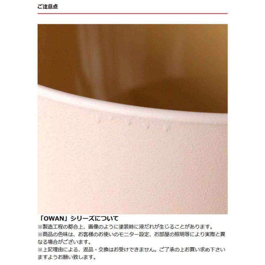 汁椀 450ml OWAN 丸 グラデーション プラスチック 日本製 （ 食洗機対応 電子レンジ対応 お碗 汁碗 ボウル ミニ丼 茶碗 食器 山中塗 ）｜colorfulbox｜13