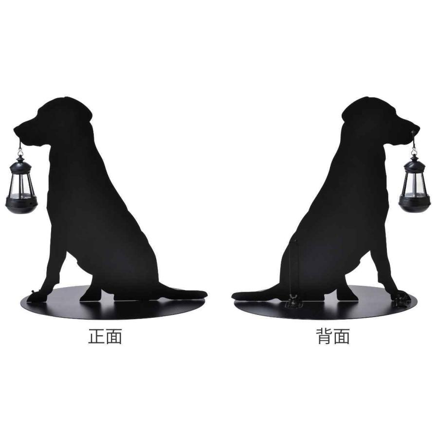 太陽と犬 Amazon.co.jp: ソーラーライト付きゴールデンレトリバー像、屋外