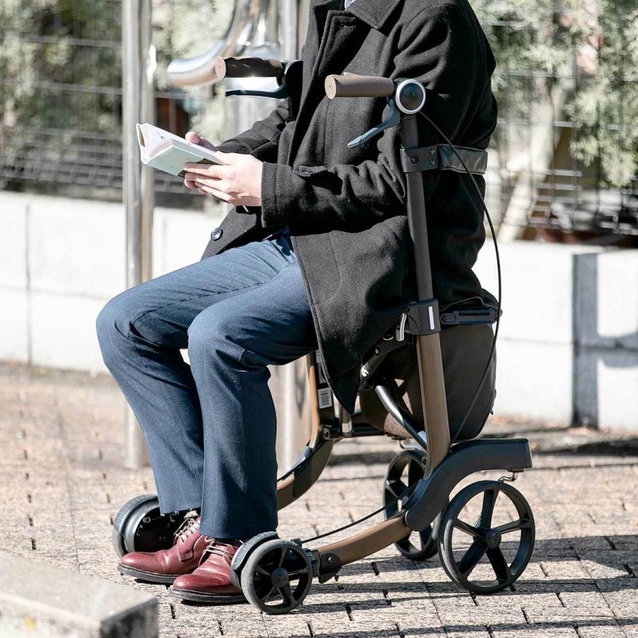 歩行器 ジェンティルマローネ ミケーレ 介護用品 （ 歩行車 シルバー
