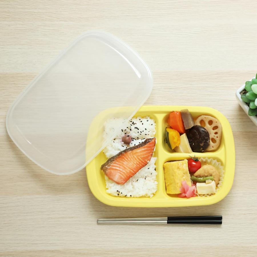 ＆NE ランチプレート フタ付き 26cm Rakura プラスチック 日本製 （ 食洗機対応 レンジ対応 フタ付きランチプレート 角型 薄型 ...
