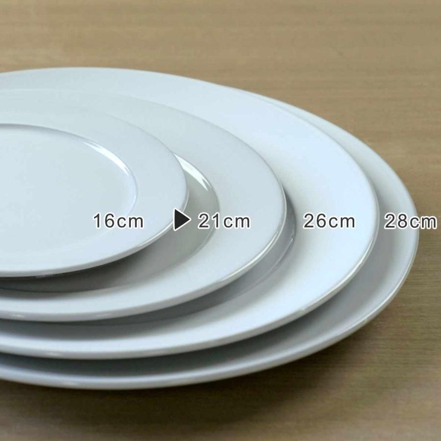 プレート 21cm ROOTS テール 磁器 （ 食洗機対応 電子レンジ対応 日本