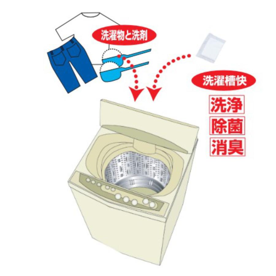 清水産業 洗濯槽クリーナー 30包入 分包タイプ 洗濯槽快 （ 部屋干し