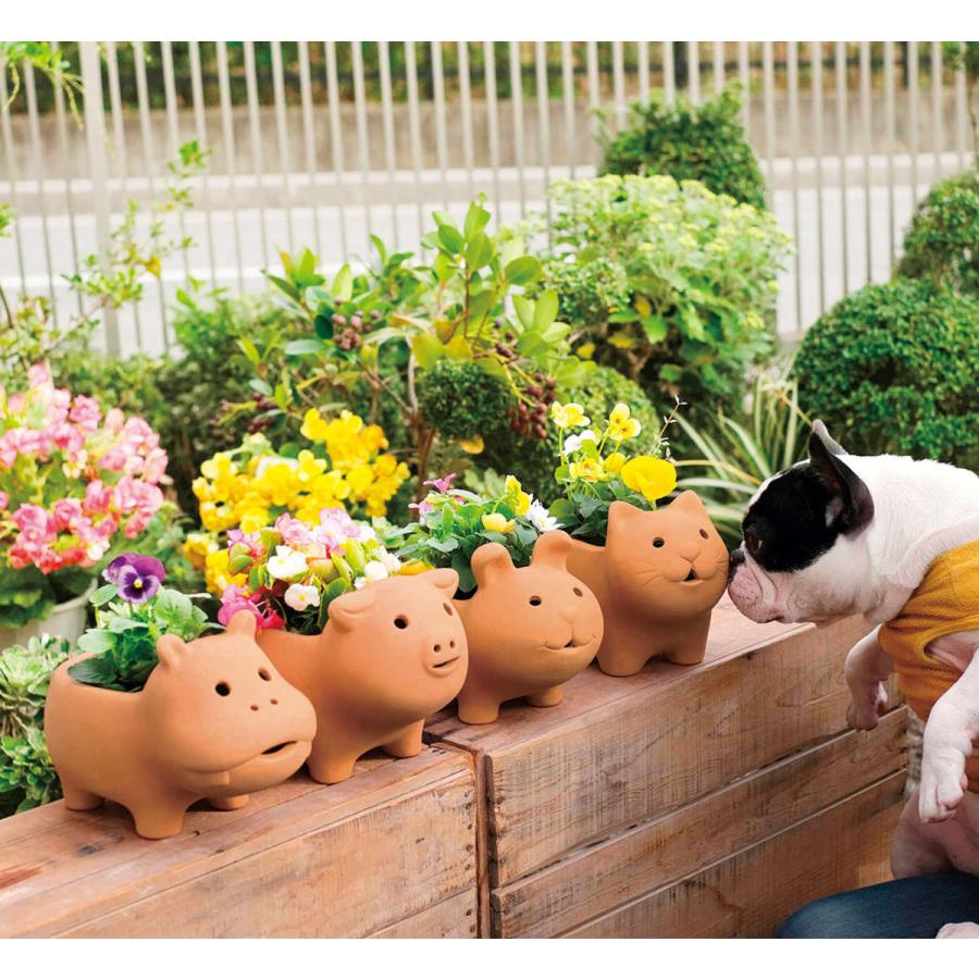 プランター アニマルテラコッタポット ネコ 3号 （ 植木鉢