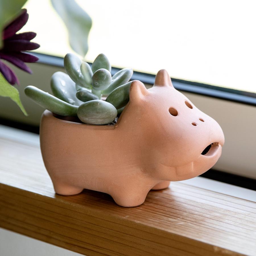 プランター アニマルテラコッタポット カバ 2号 （ 植木鉢 プラント