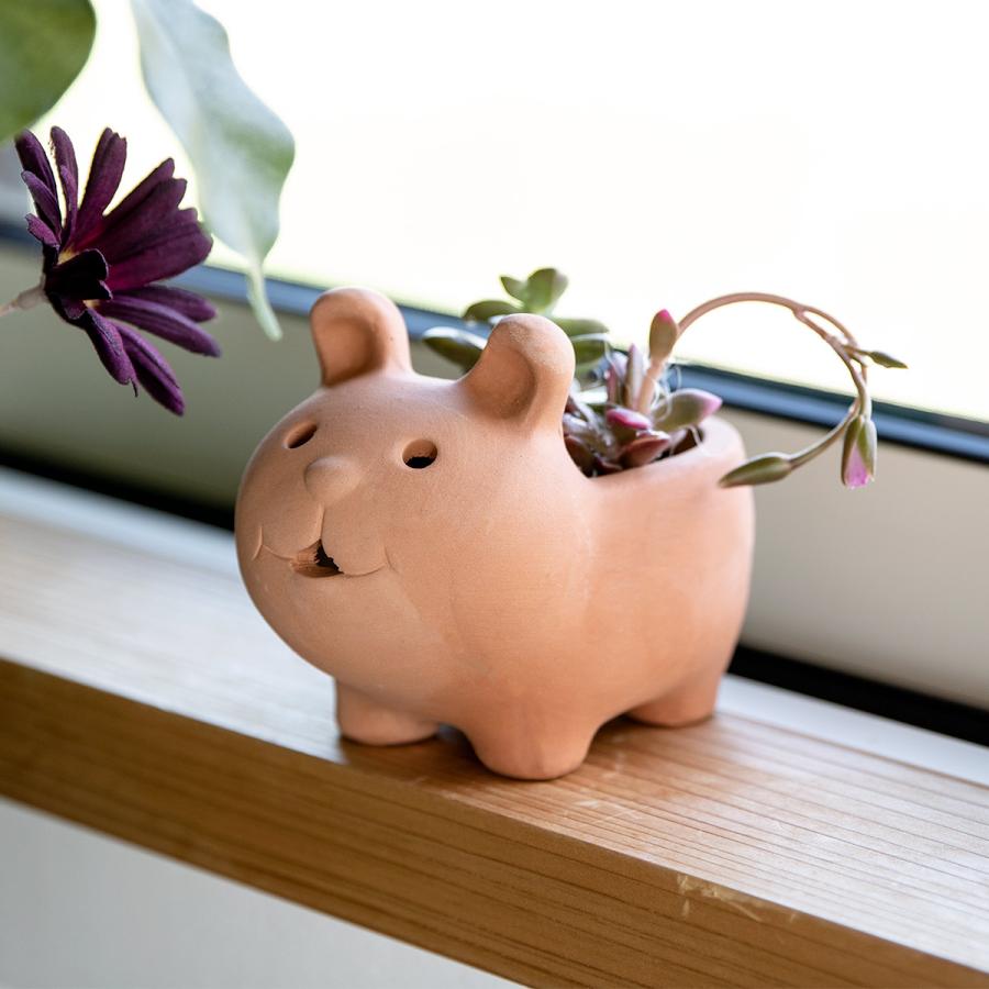 スポード　ウッドランド　大皿　大鉢　ウッドダック　2枚　レア　希少 スポード ウッドランド 大皿 大鉢 ウッドダック 2枚 レア 希少