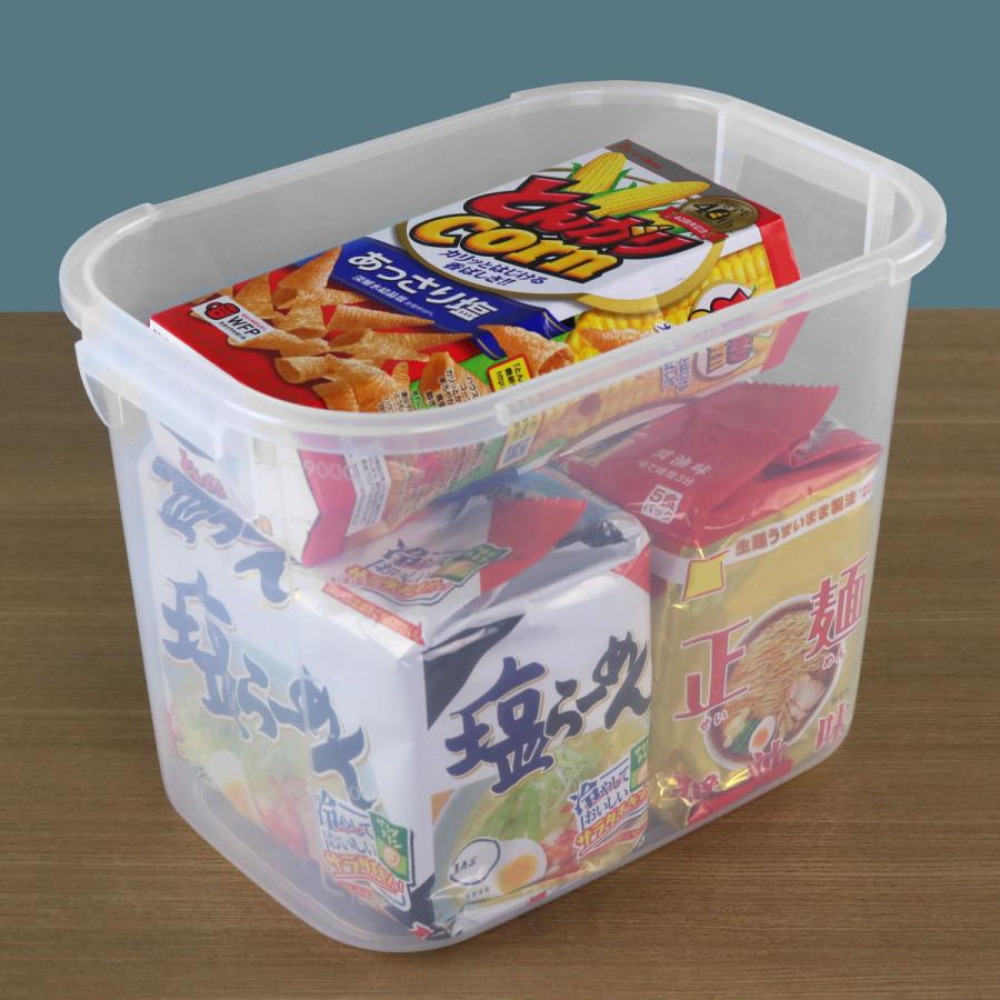 保存容器 10L SLジャンボケース 抗菌 （ 密閉 4面ロック