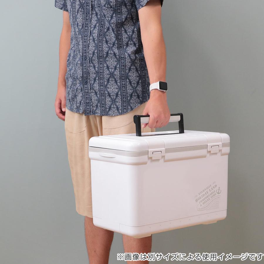 伸和（SHINWA） クーラーボックス 7L ホリデーランドクーラー ハード