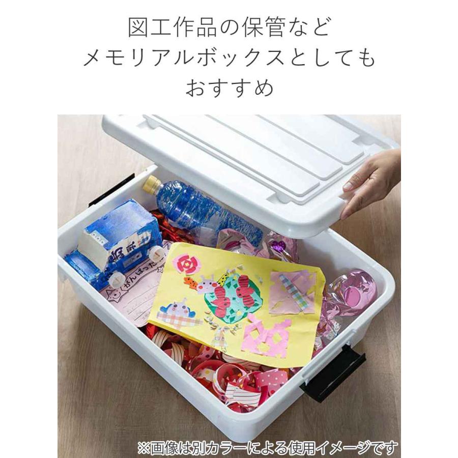 JEJアステージ 衣装ケース クローゼット 収納ケース コロモ 幅38.5