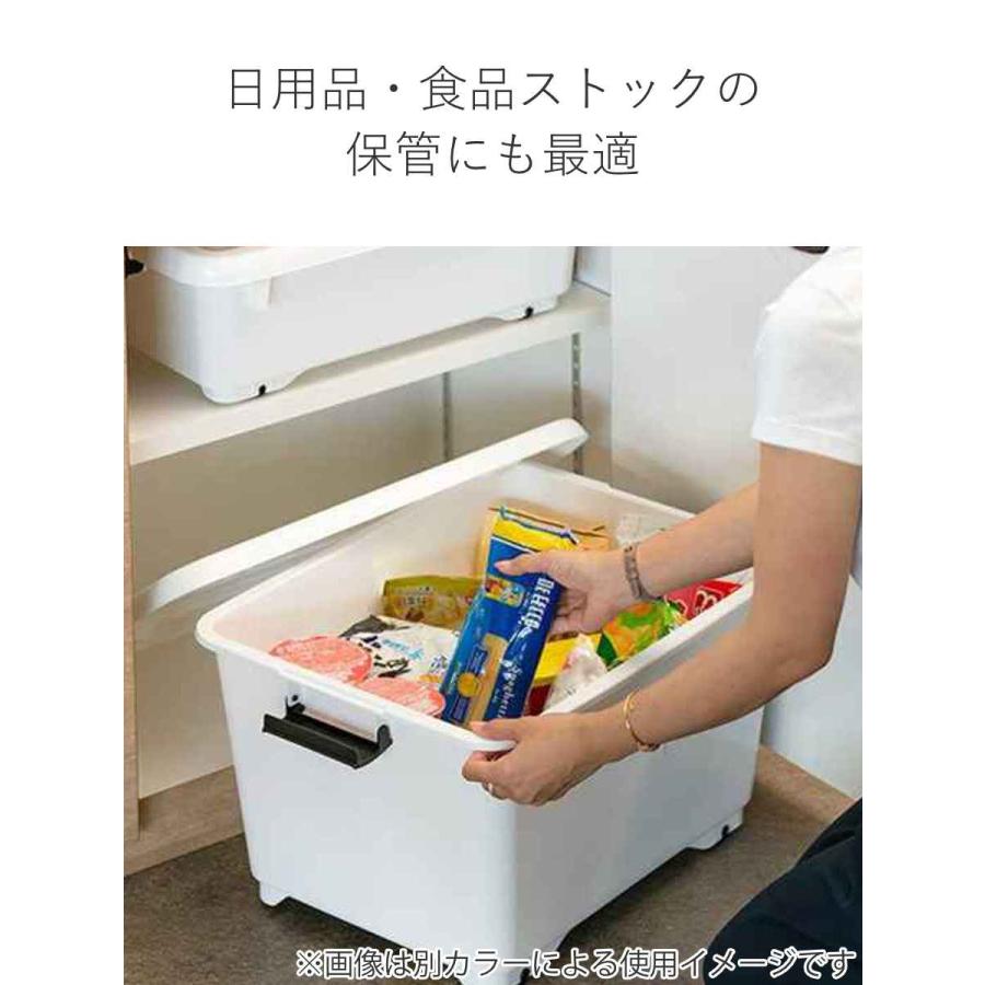 JEJアステージ 衣装ケース クローゼット 収納ケース コロモ 幅38.5