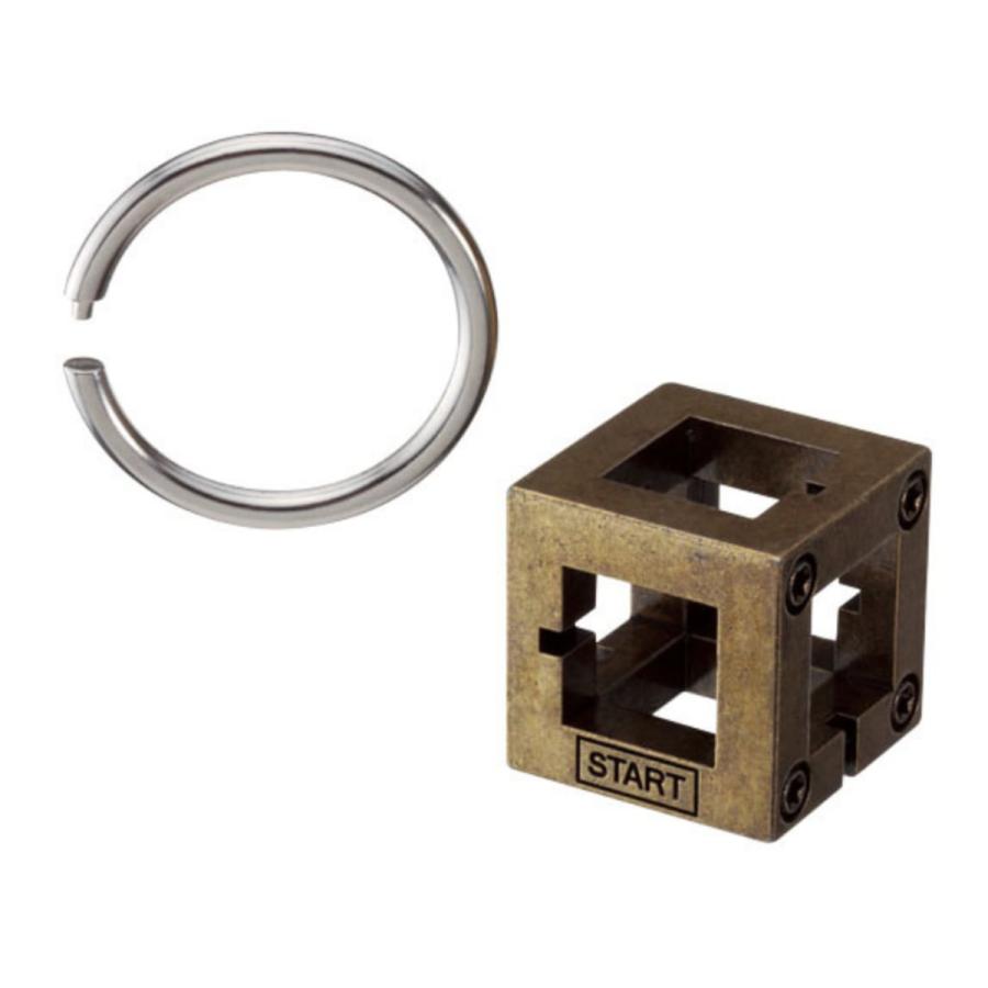 ハナヤマ 知恵の輪 ハズル キャスト ボックス 難易度2 （ ちえの