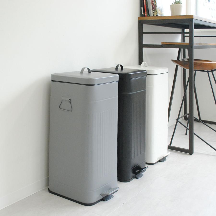 アントレックス ゴミ箱 30L Galva ペダル式 （ ごみ箱 30リットル