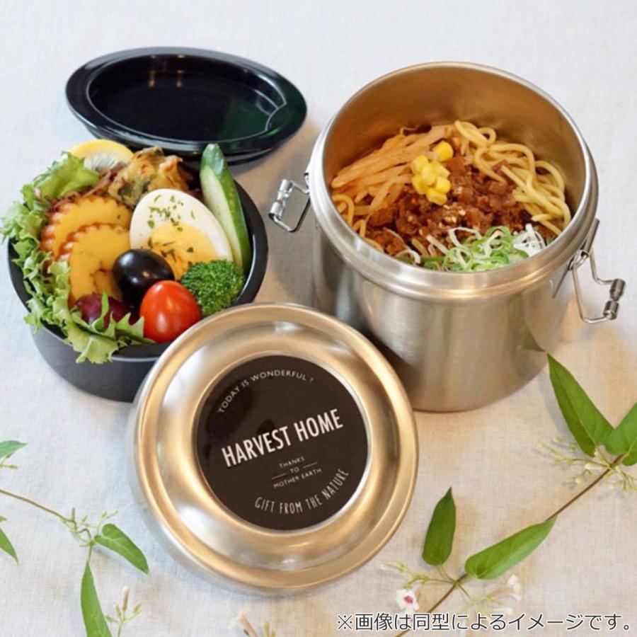 スケーター 弁当箱 保温 丼 600ml 抗菌 真空ステンレス 保温弁当箱