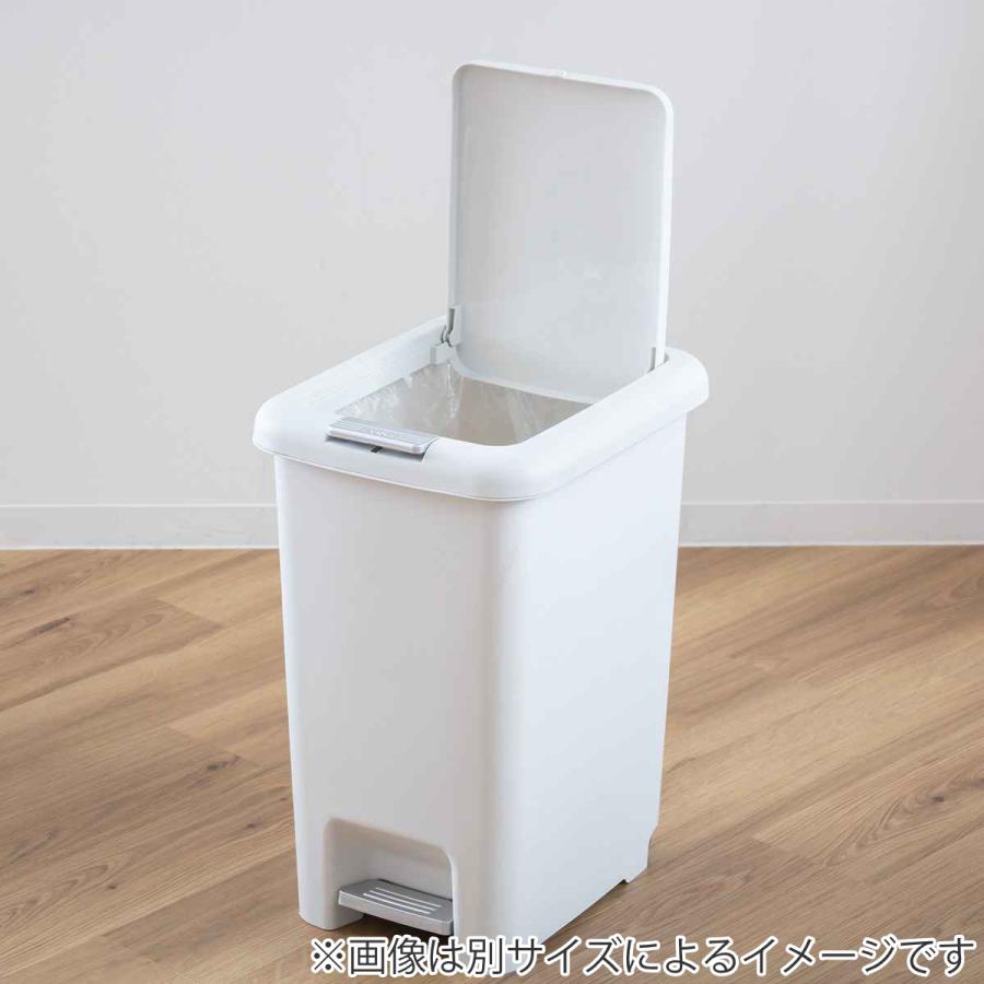 不二貿易（Fuji Boeki） ゴミ箱 30L 2WAY ダストボックス （ ごみ箱 30