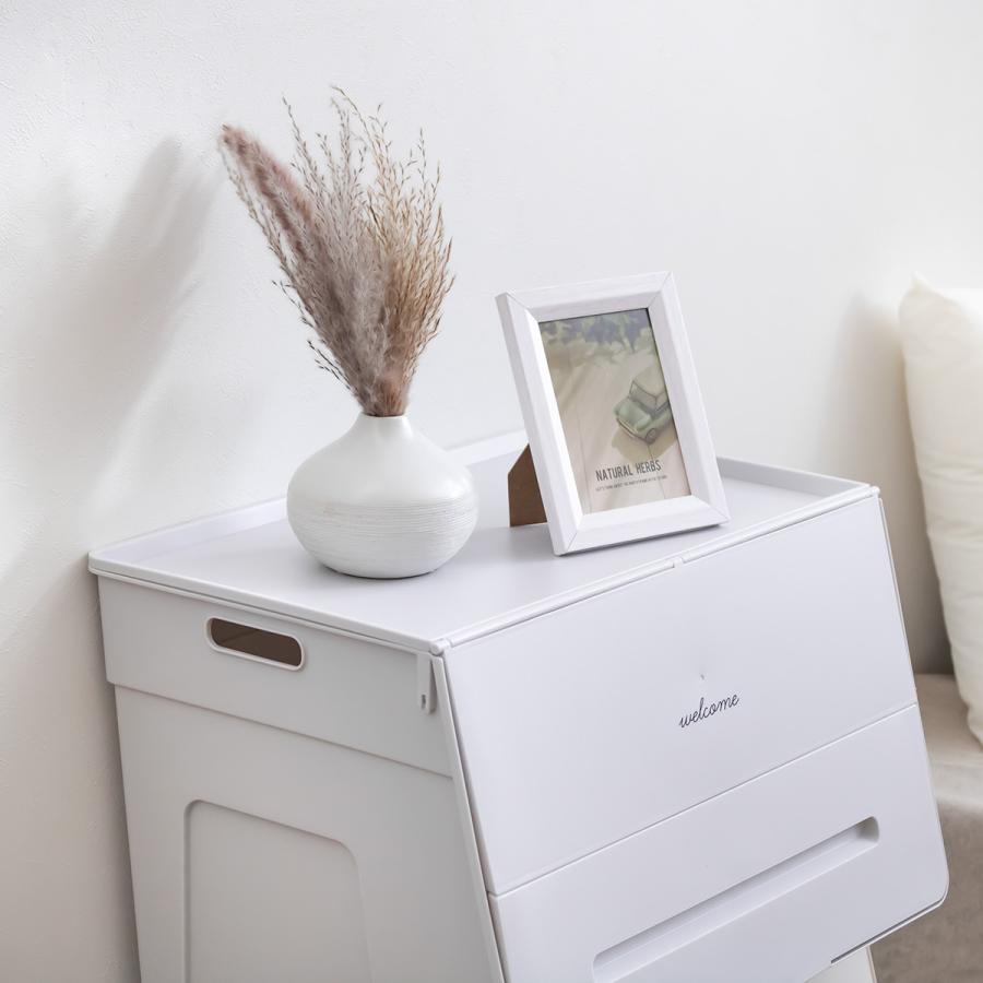 SANKA（サンカ） 収納ボックス 3個セット 前開き 幅45×奥行34×高さ31cm