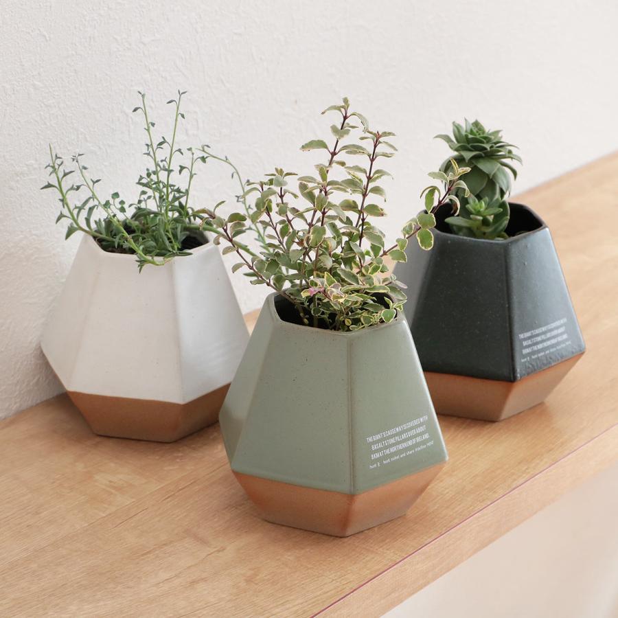 ミニ鉢植用ポット　6種類セット 楽天市場】【6個セット】植木鉢 プラスチック おしゃれ 鉢 樹脂 小型