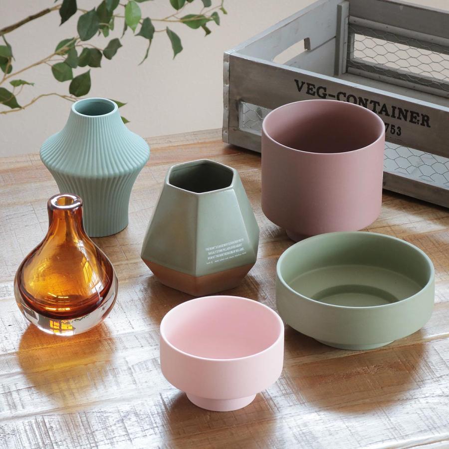 ヨーム　鉢 夜月 – Sigma Plants