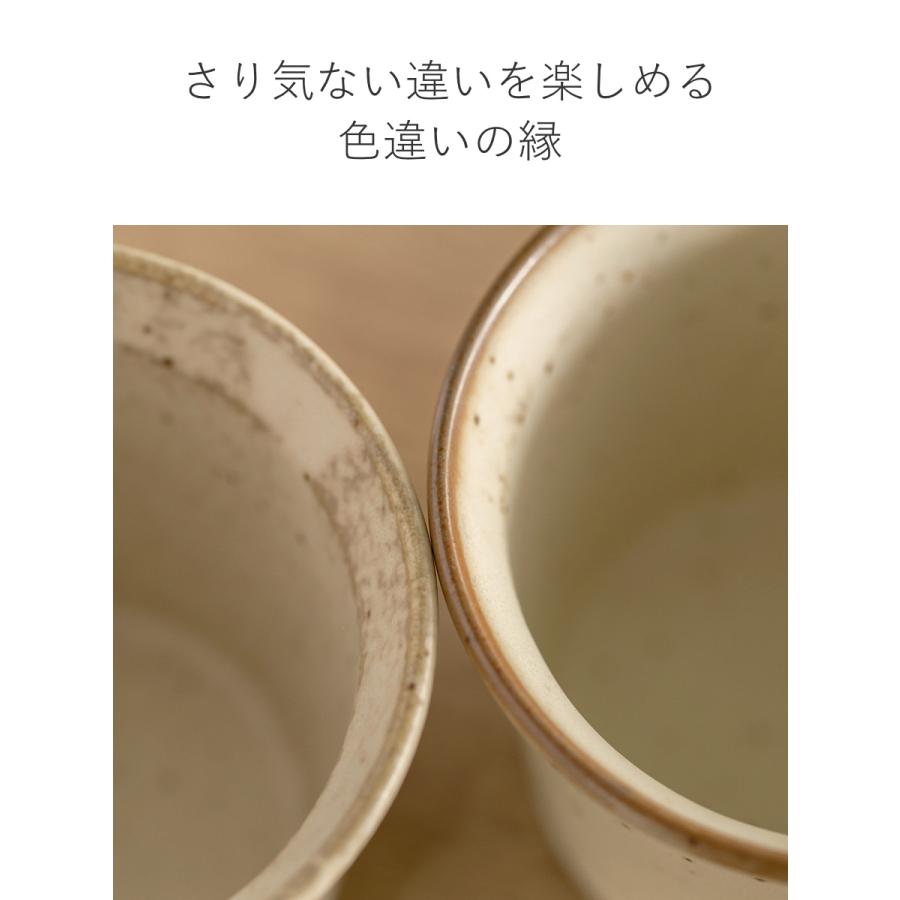  JAGUAR 食器セット LOWYA（ロウヤ） 食器 6点セット 美濃焼 皿 マグカップ プレート