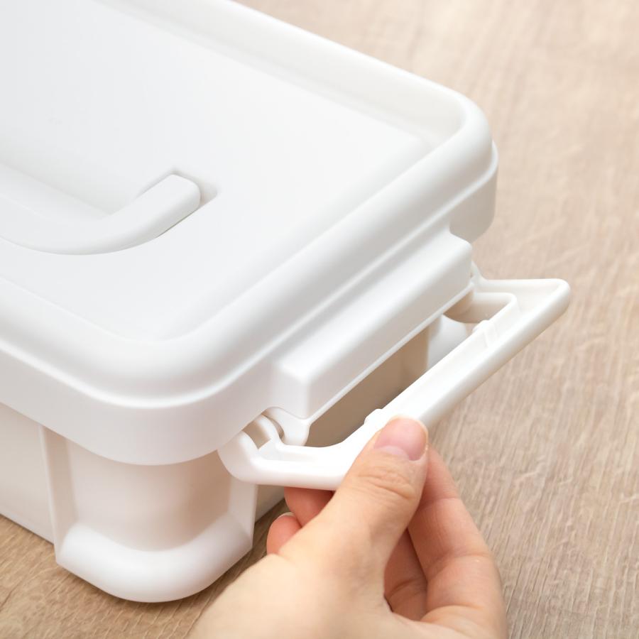 SANKA 収納ボックス ナチュラトラックス 幅24.5×奥行17.2×高さ9cm 24S