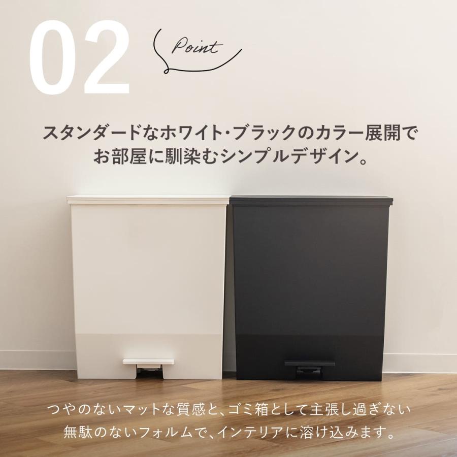 RISU（リス） 特典付き ゴミ箱 45L 同色2個セット SOLOW ソロウ ペダル