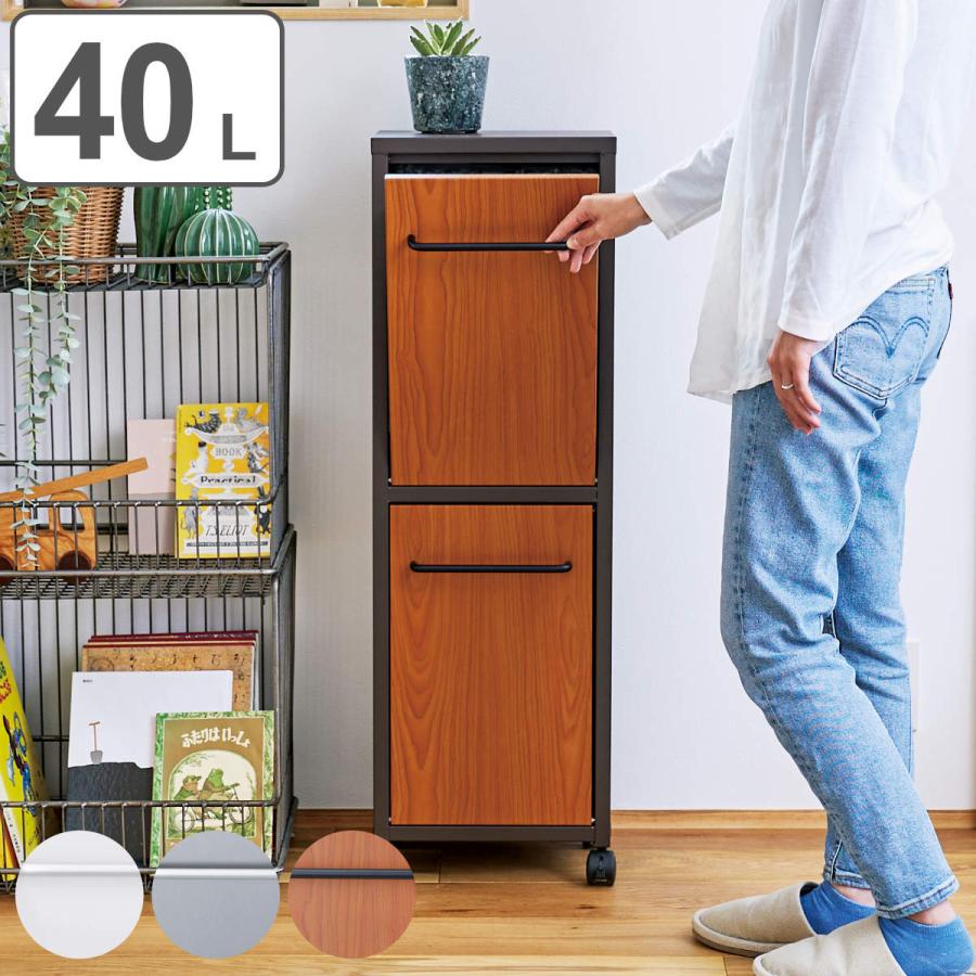 セトクラフト ゴミ箱 40L 20L×2分別 トラッシュダブル （ ごみ箱 20L 2