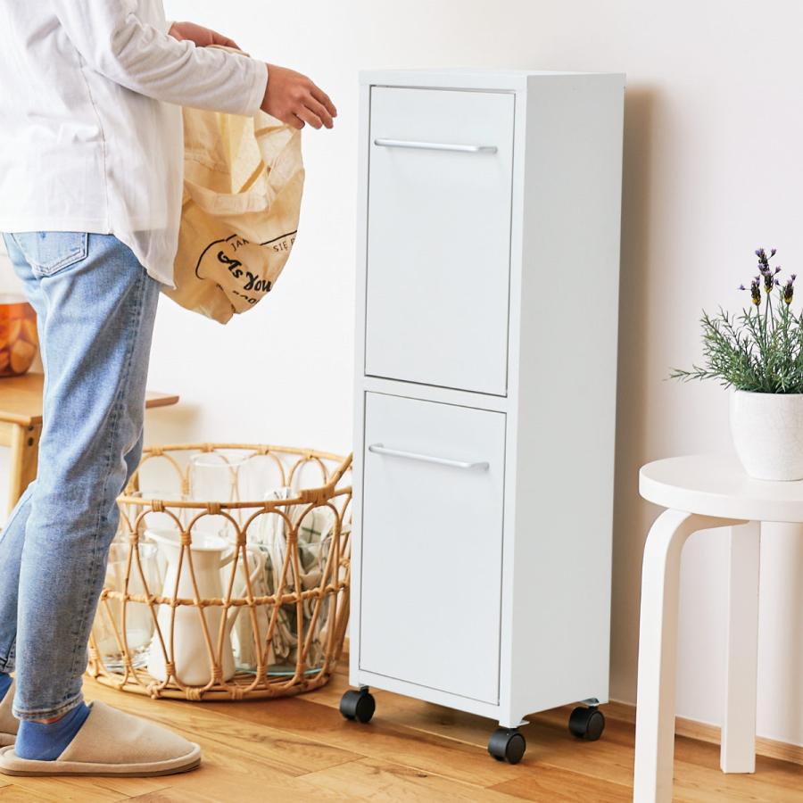 セトクラフト ゴミ箱 40L 20L×2分別 トラッシュダブル （ ごみ箱 20L 2