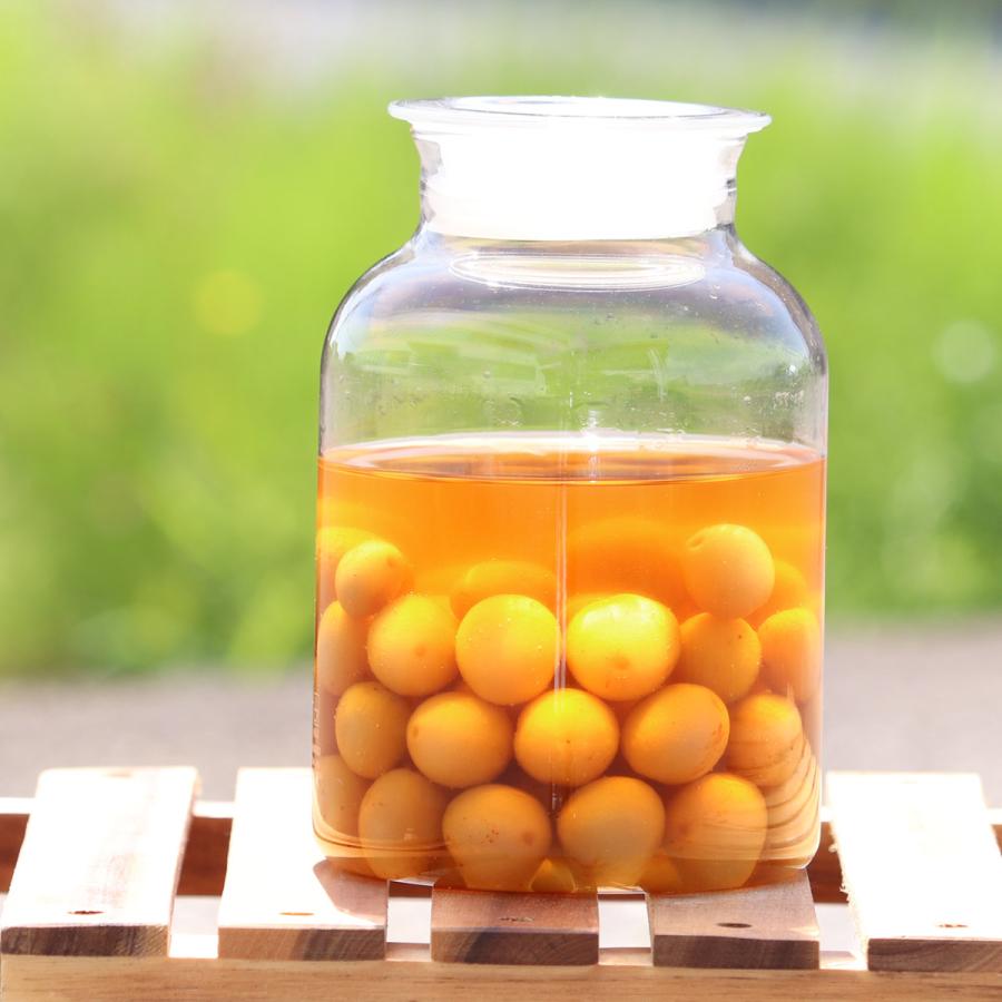 ゴジラ ガラス瓶 保存容器。3時間下げます。 楽天市場】スタンダード