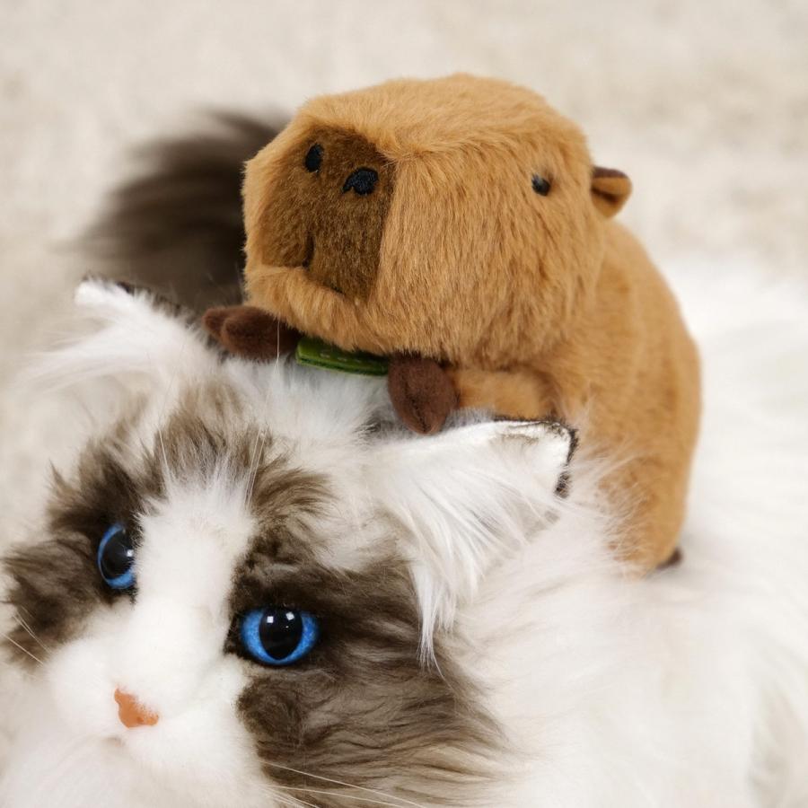 Sun Arrow（サン・アロー） ぬいぐるみ potte カピバラ （ ヌイグルミ