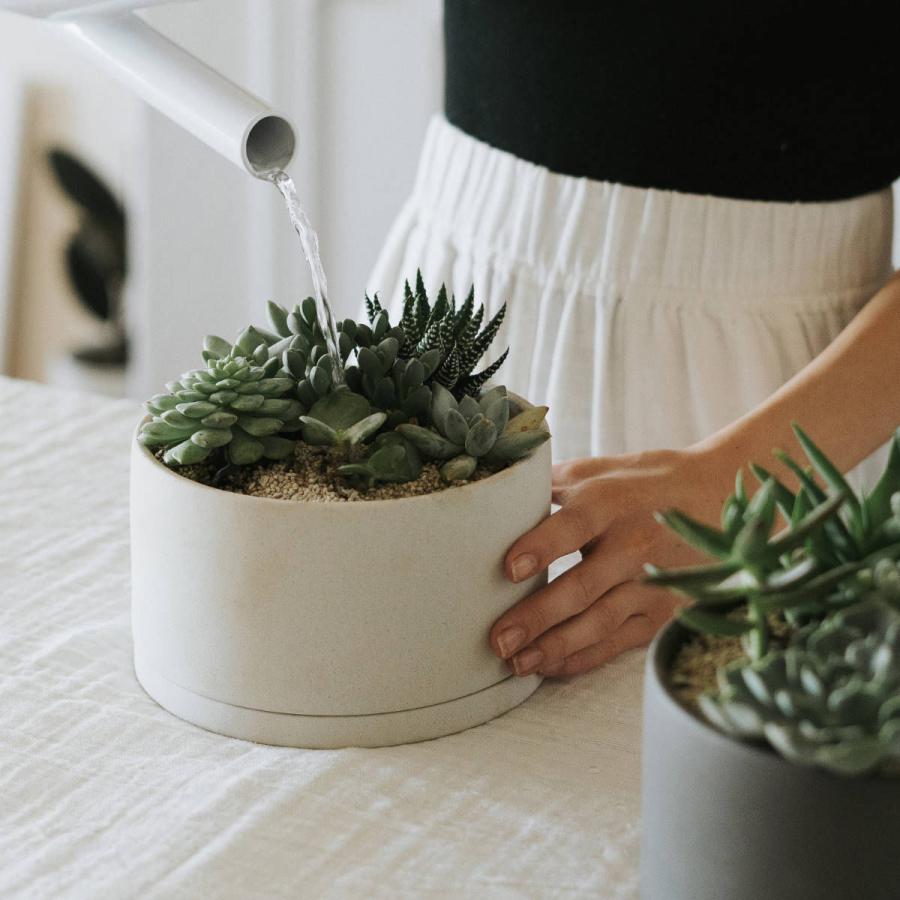 ゴトープロダクト　ホワイト　プランター　鉢カバー　花器　ヨーロッパ調　小さめ ゴトープロダクト ホワイト プランター 鉢カバー 花器