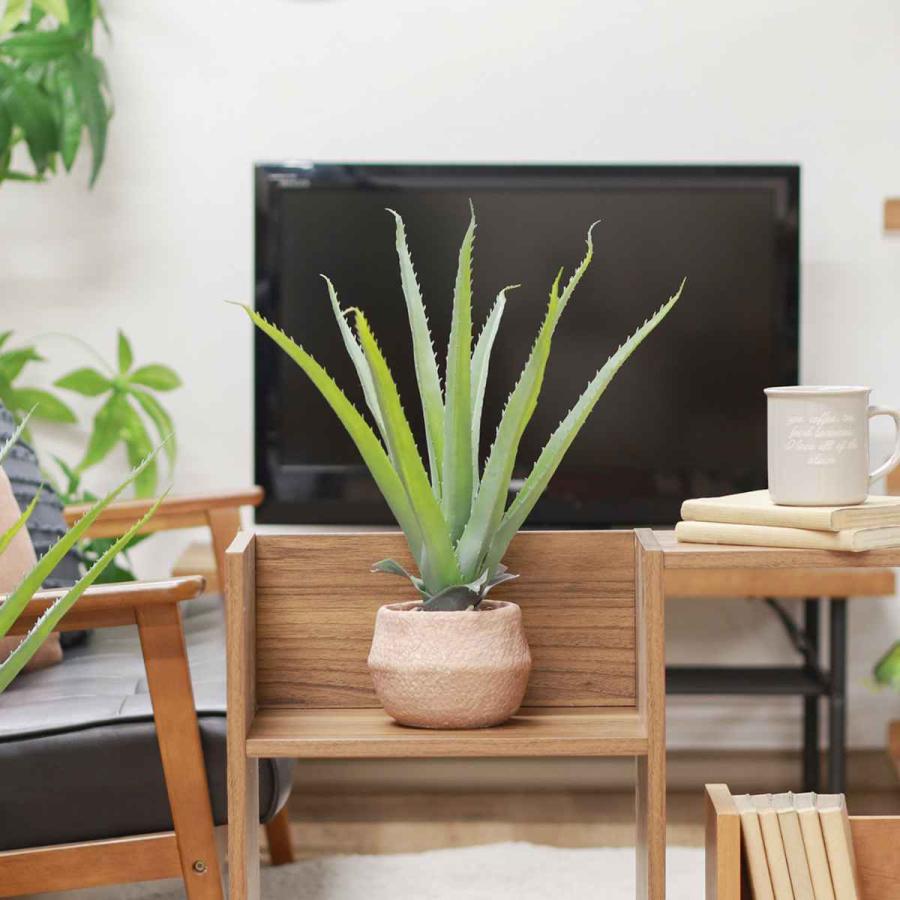 不二貿易（Fuji Boeki） フェイクグリーン アロエ 高さ45cm セメント