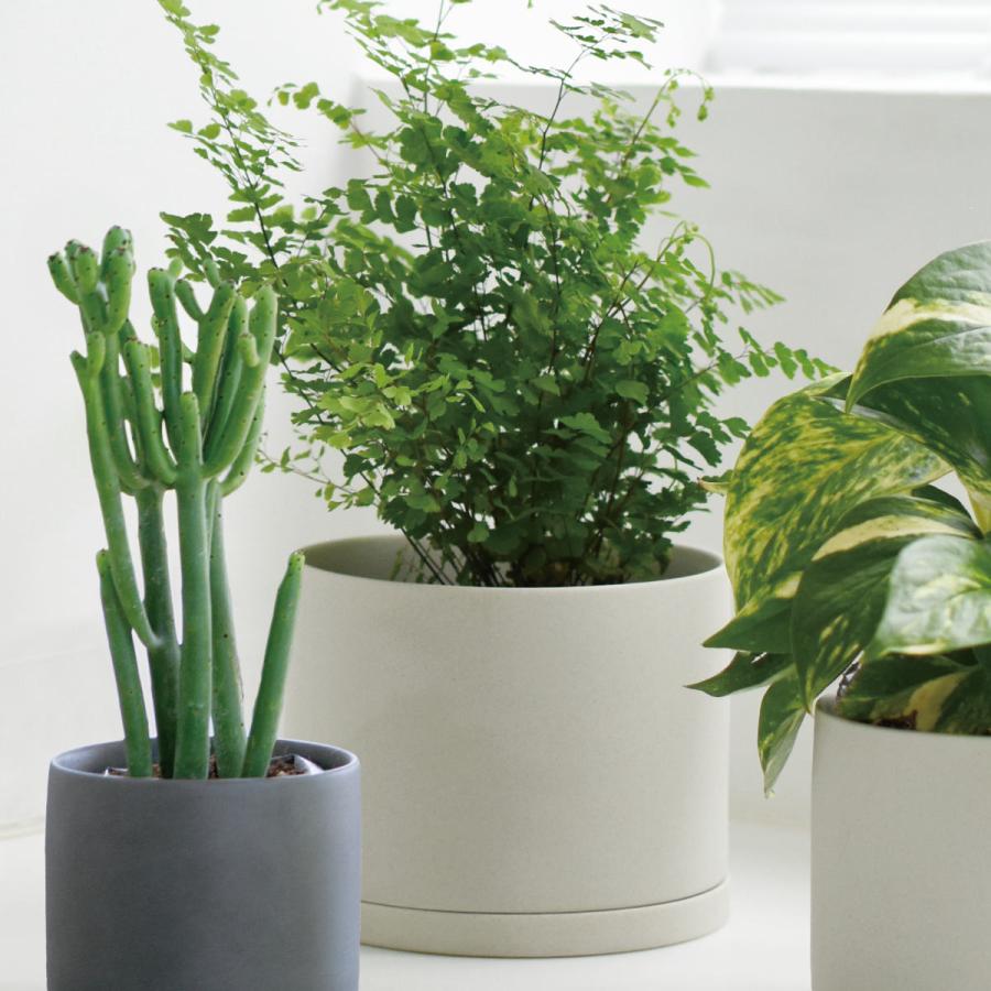 KINTO（キントー） プラントポット 191_ 135mm （ プランター 13.5cm