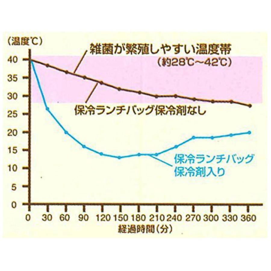 重箱 保冷バック付行楽ランチセット 3800ml キャラクター （ プーさん トトロ スヌーピー 魔女の宅急便 ジジ ピクニック ランチボックス ）｜colorfulbox｜10