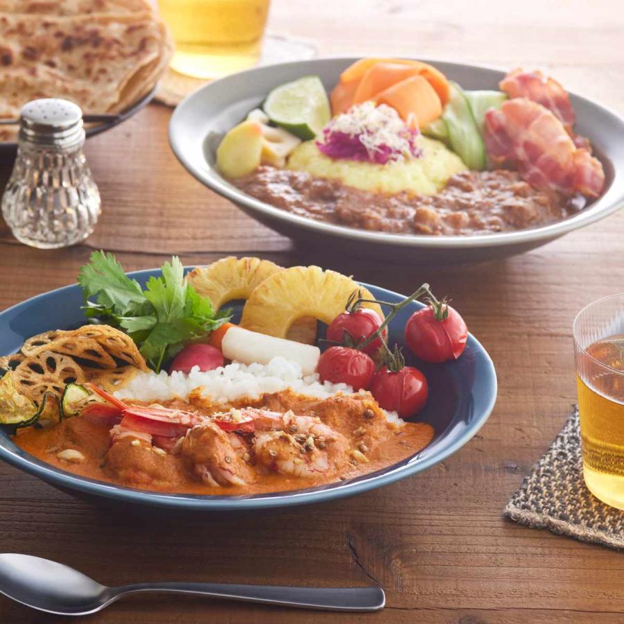 カレー皿 スプーンセット 25cm 逸品窯 陶磁器 ( 食洗機対応 カレー皿 スプーンセット 25cm 逸品窯 陶磁器 ( 食洗機対応