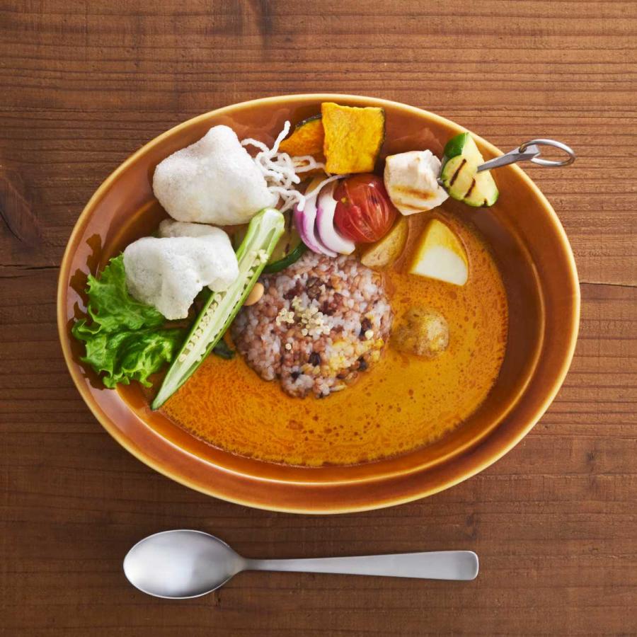 カレー皿 スプーンセット 25cm 逸品窯 陶磁器 ( 食洗機対応 カレー皿 スプーンセット 25cm 逸品窯 陶磁器 ( 食洗機対応