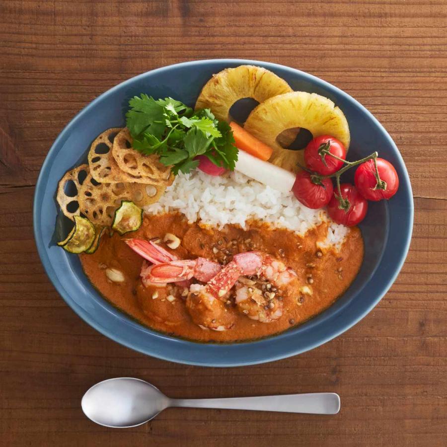 カレー皿 スプーンセット 25cm 逸品窯 陶磁器 ( 食洗機対応 カレー皿 スプーンセット 25cm 逸品窯 陶磁器 ( 食洗機対応