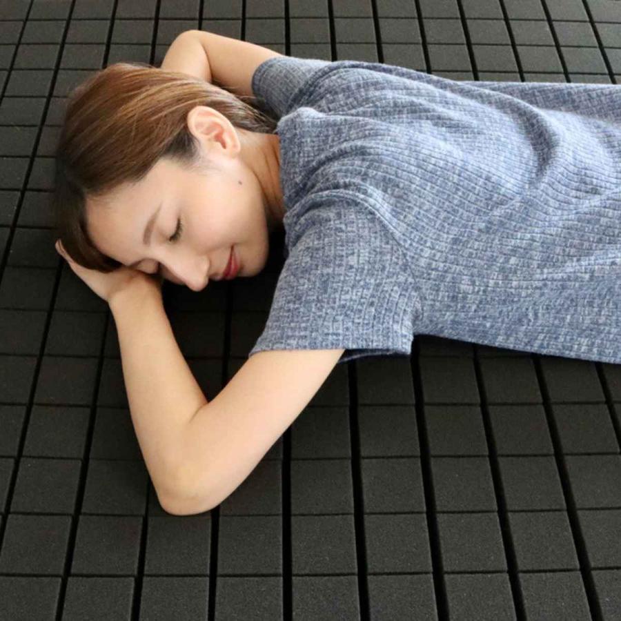 HAGiHARA（萩原） 洗えるマットレス アラエルーノ シングル 専用洗濯