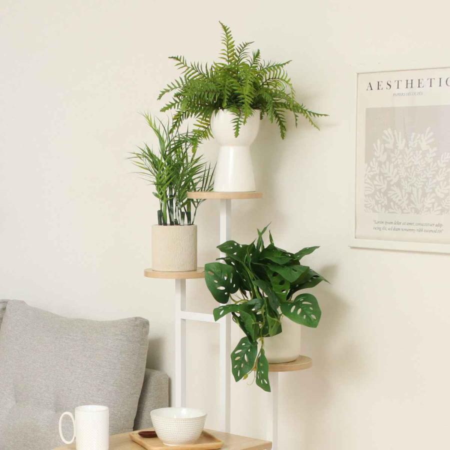 (fuku) サイドテーブル、 フラワースタンド 不二貿易（Fuji Boeki） ディスプレイラック 幅64cm サイドテーブル