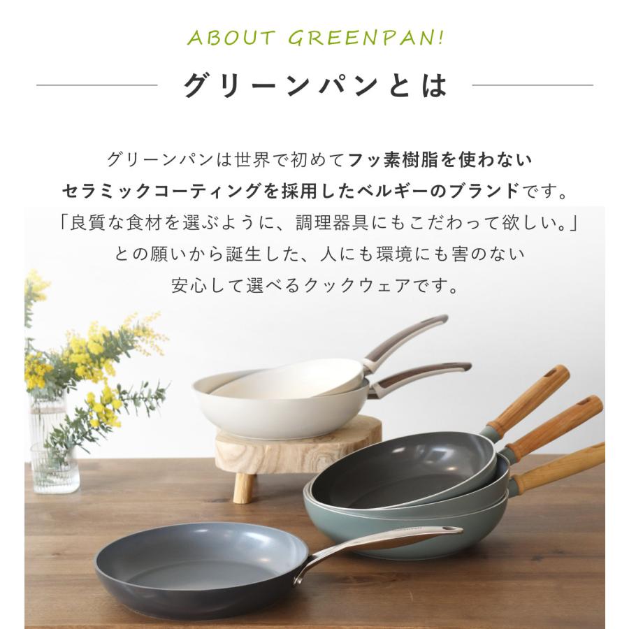 GREEN PAN フライパン4点セット 20cm 26cm クリックシェフ 着脱