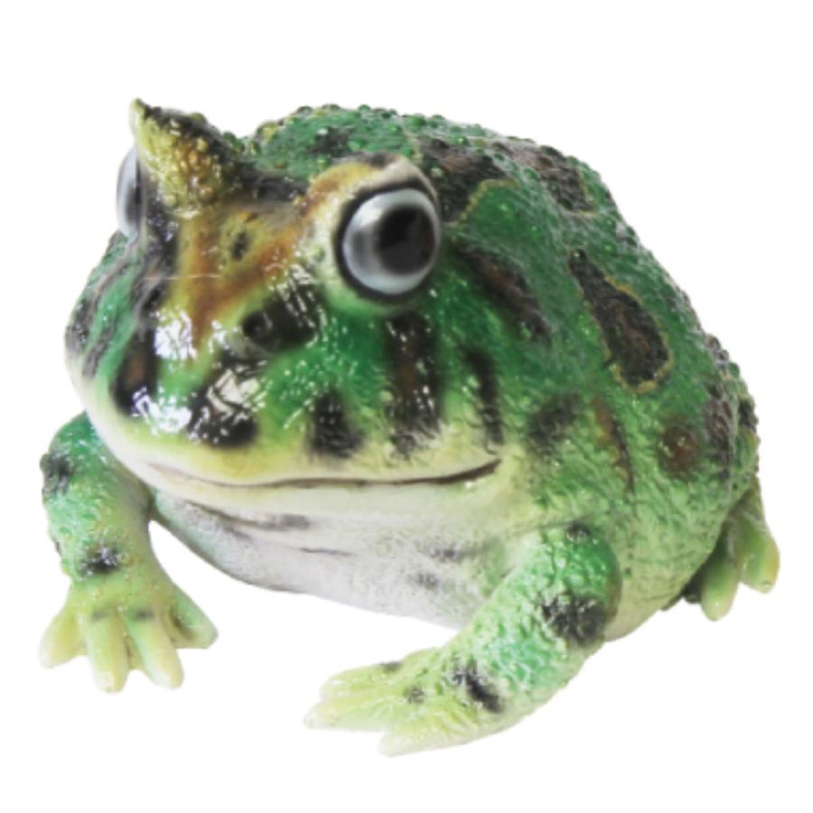 magnet オブジェ REPTILES MAG ツノガエル （ クリップホルダー 置き物