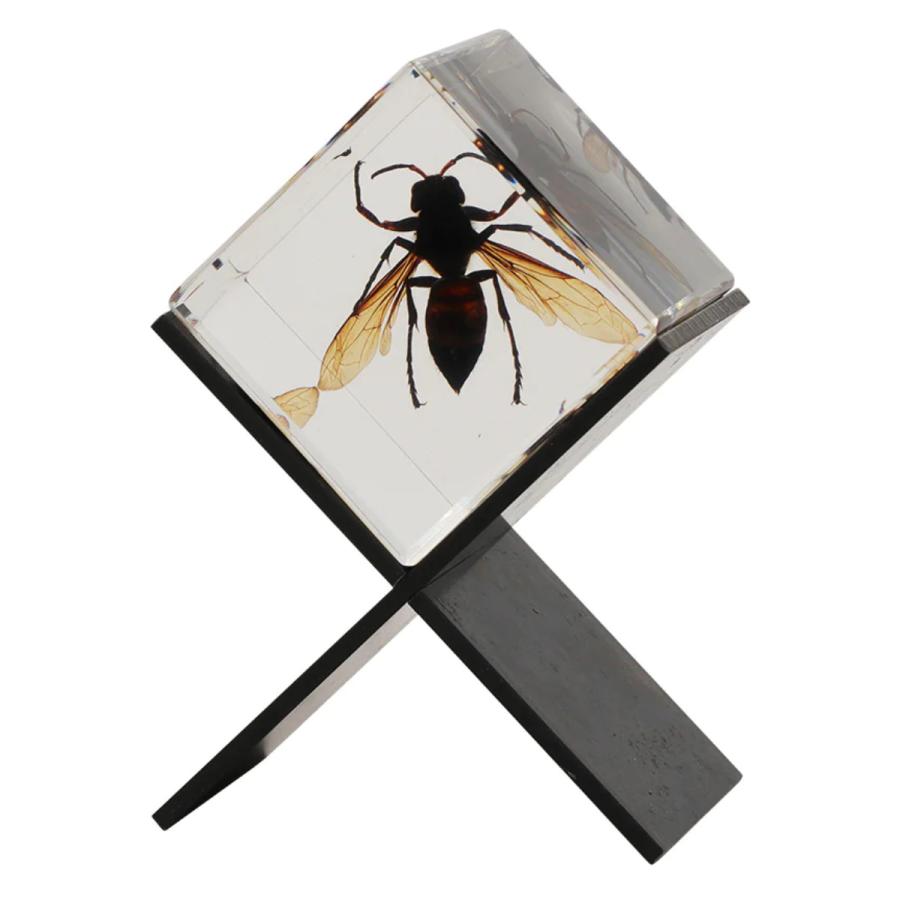 ★天然石と昆虫標本(フィギュア)のコレクション★ ☆天然石と昆虫標本(フィギュア)のコレクション 天然石と昆虫標本