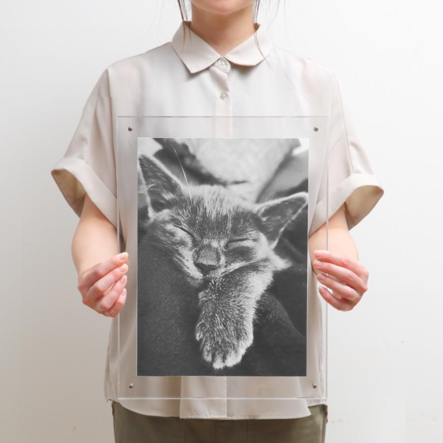 フォトフレーム シンプル アクリル B4 （ アクリルフレーム フォト