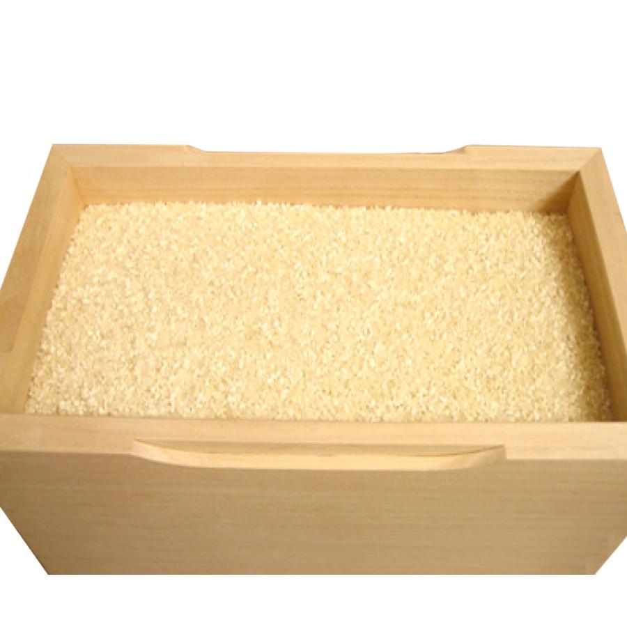 米びつ 10kg 桐の米びつ 縦長型 無地 一合升 すり切り棒付き （ 密閉