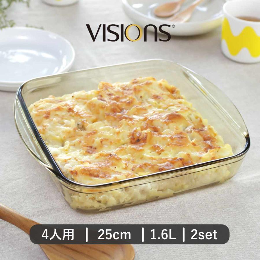 グラタン皿 25cm 1.6L VISIONS 耐熱ガラス 2個セット （ 食洗機対応